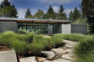 Rutherford in the Napa Valley house designed by architecture studio Johnson Fain.jpg